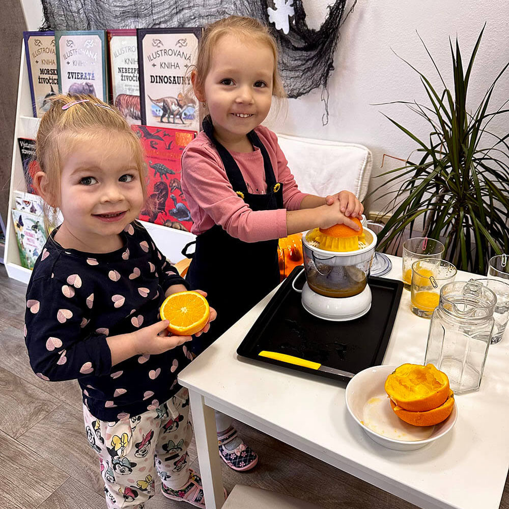 Montessori vzdelávanie Laland